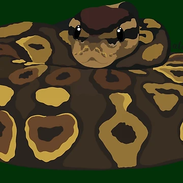 Artwork thumbnail, Royal Python(Python regius) by Alawstrations