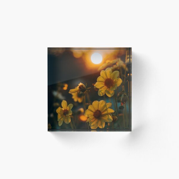 Item preview, Girasol designed and sold by PopNFlava.