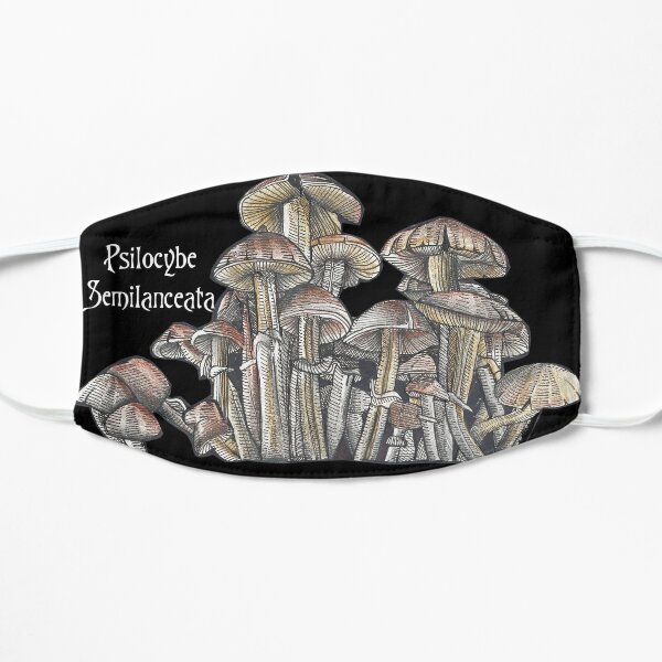 Magic Mushrooms / Forest / Faerie Mask