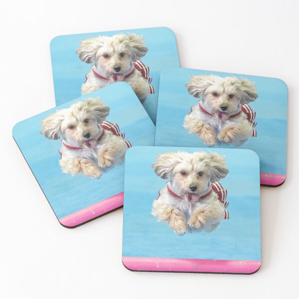 Item preview, Yorkiepoo cheerleader doing agility designed and sold by Karen Dayton.