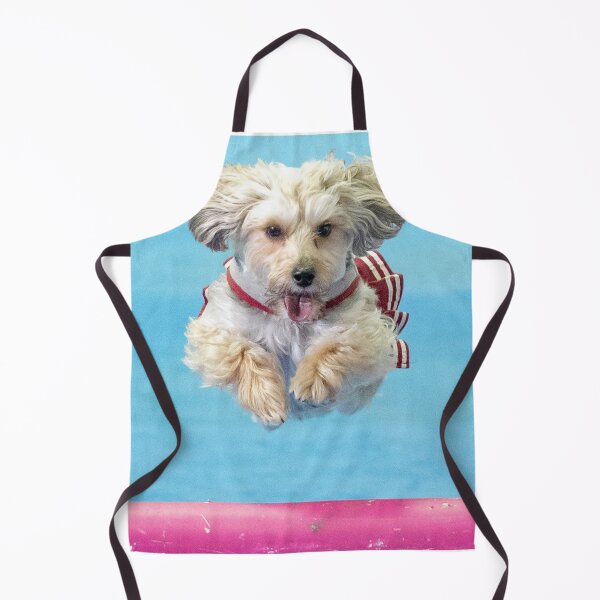 Item preview, Yorkiepoo cheerleader doing agility designed and sold by Karen Dayton.