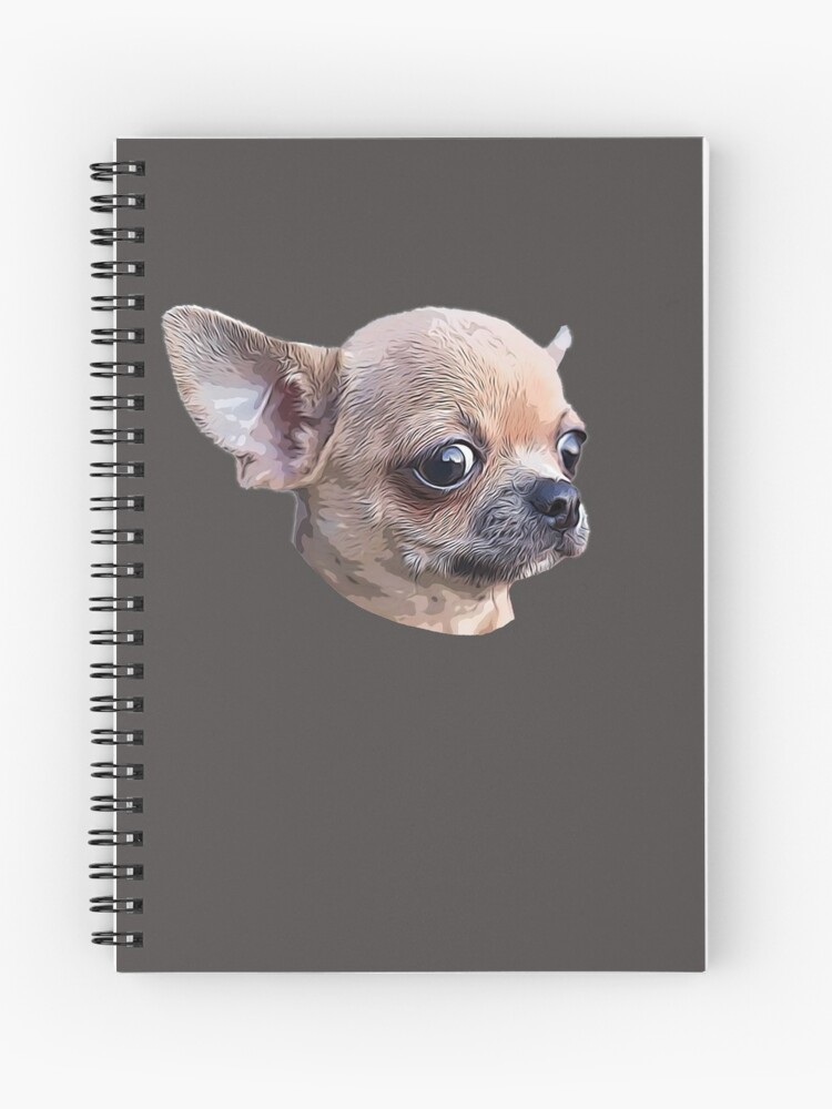 Chihuahua Cute Puppy Dog