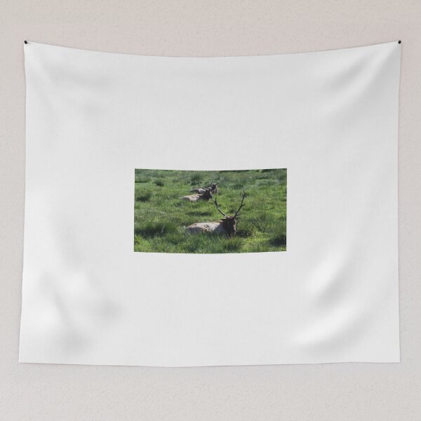 Item preview, Elk  designed and sold by Tamara McDonnell.