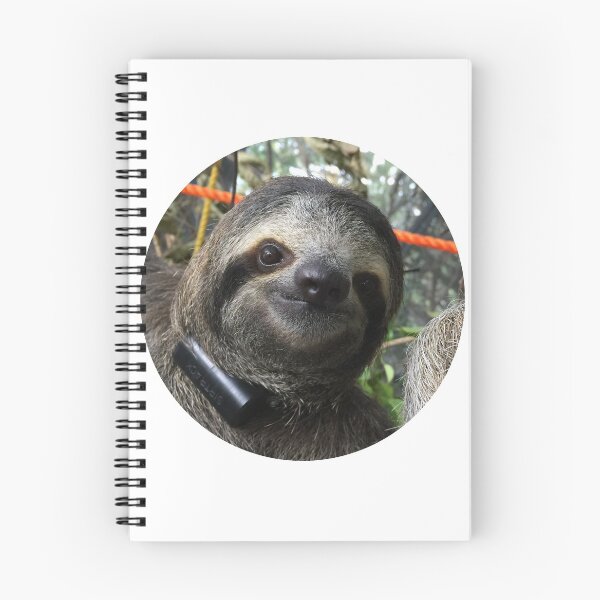 Item preview, Sloth designed and sold by Barnsey.