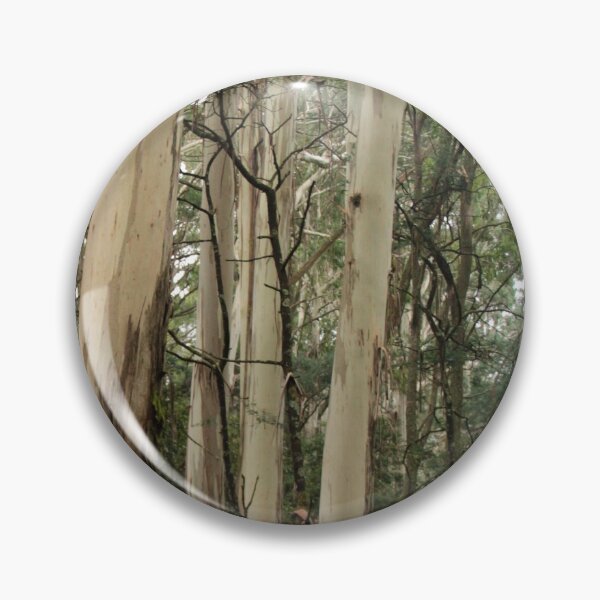 Item preview, Mountain Ash Eucalypts on Mt Macedon, Victoria designed and sold by Susan Henry.