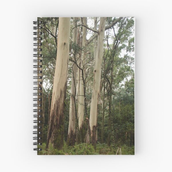 Item preview, Mountain Ash Eucalypts on Mt Macedon, Victoria designed and sold by Susan Henry.