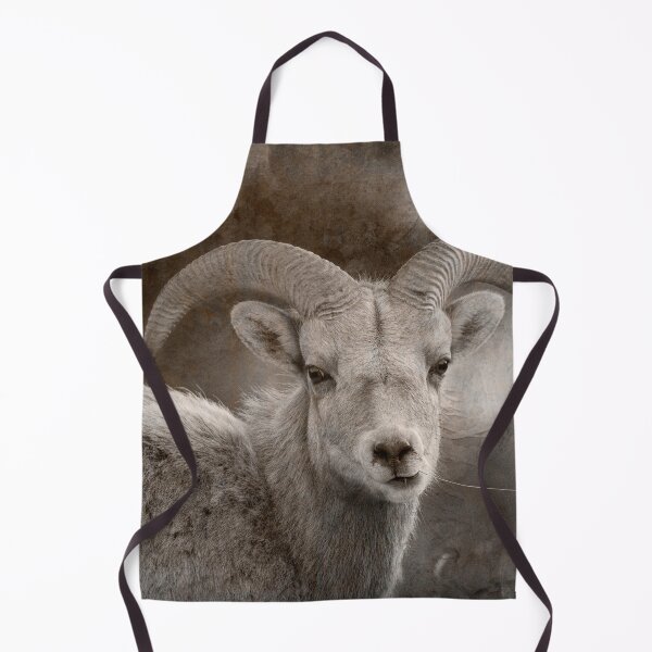 Item preview, Big Horn Ram, Chewing Grass designed and sold by montanaartist.