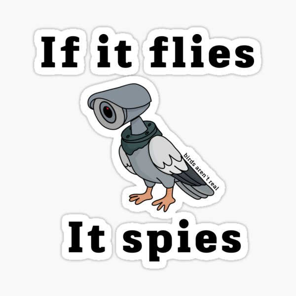 if it flies it spies shirt