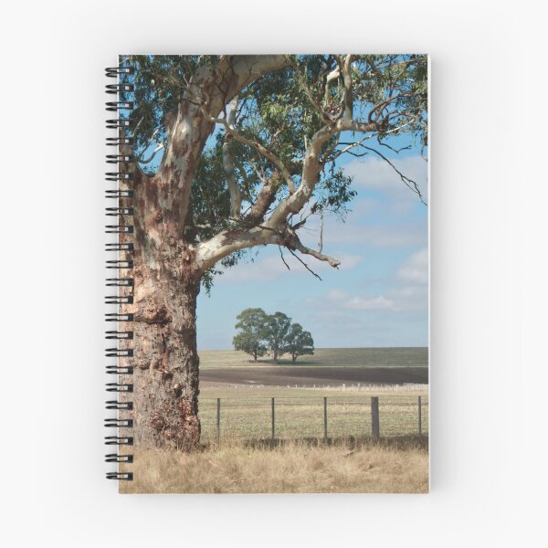Item preview, Gum elder shelters young ones. Macedon, Victoria designed and sold by Susan Henry.