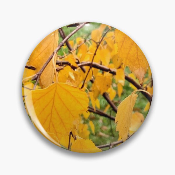 Item preview, Autumn yellow. Beautiful birch. designed and sold by Susan Henry.