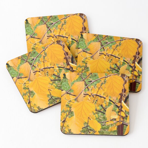 Item preview, Autumn yellow. Beautiful birch. designed and sold by Susan Henry.