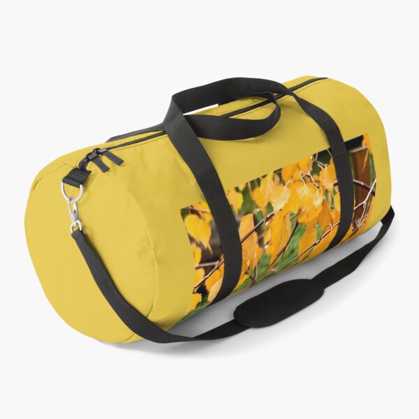 Item preview, Autumn yellow. Beautiful birch. designed and sold by Susan Henry.