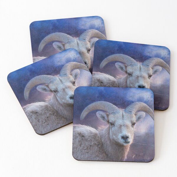 Young Big Horn Ram, in Blue Coasters (Set of 4)