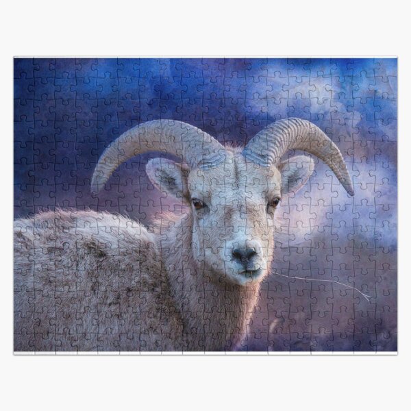 Young Big Horn Ram, in Blue Jigsaw Puzzle