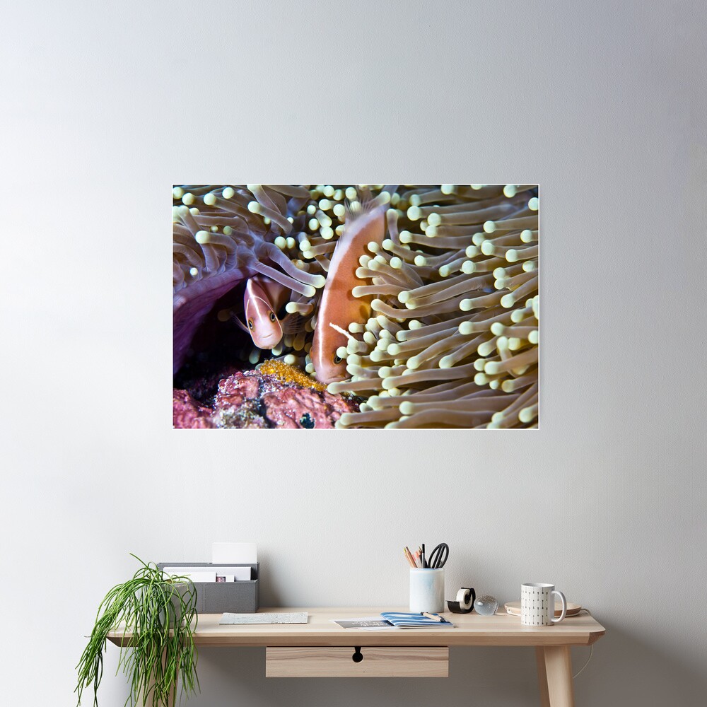 Devoted Poster