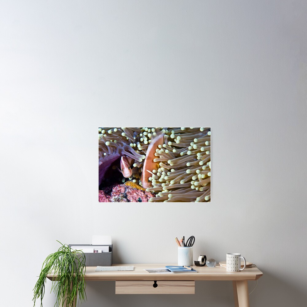 Devoted Poster