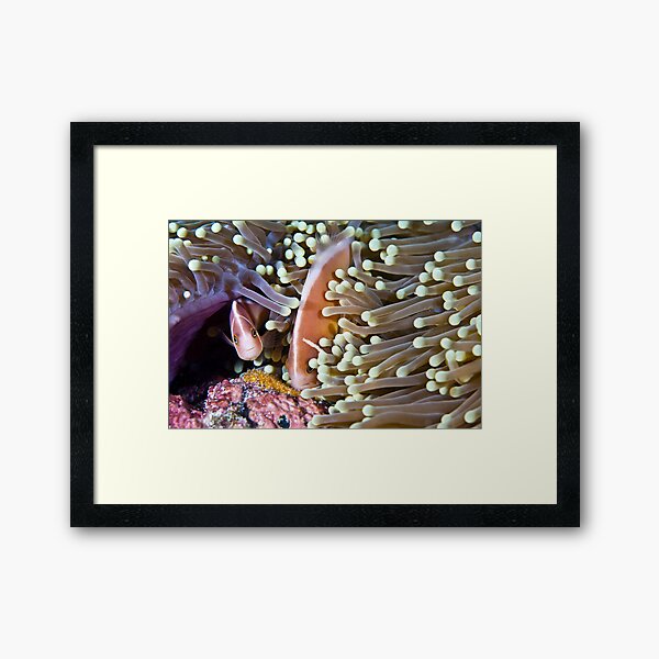 Devoted Framed Art Print
