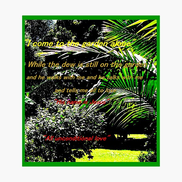"My garden walk" Photographic Print