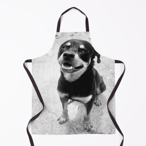 Item preview, Rottweiler dog - Black and white designed and sold by gloriasd14.