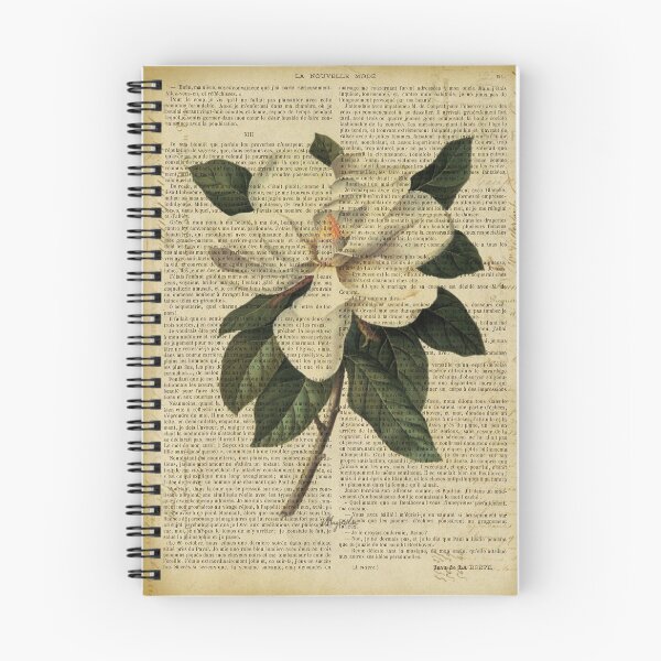 Item preview, Botanical print, on old book page - flowers- White magnolia designed and sold by Art by Lilia.