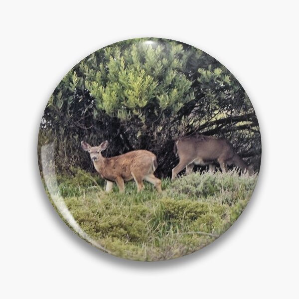 Item preview, Deer under the fir tree. designed and sold by Margaret Stevens.