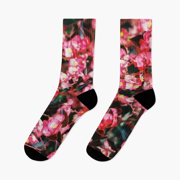 Item preview, Saturated Begonias designed and sold by doskeyphoto.
