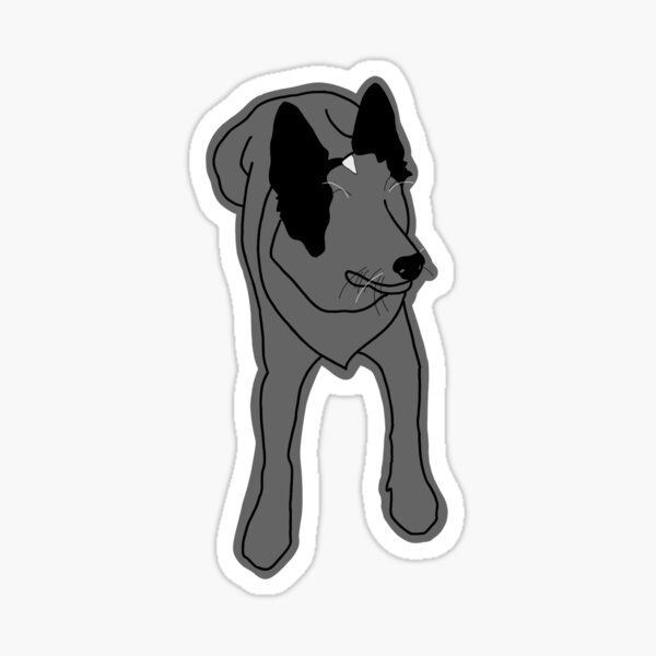 Blue Heeler Stickers | Redbubble