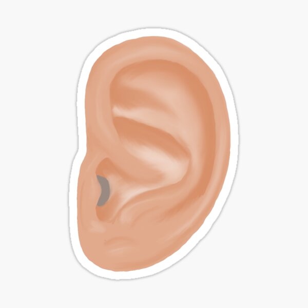 Human Ear Sticker for Sale by Sabrina Lee