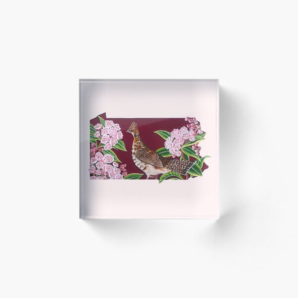 State Bird - Pennsylvania Acrylic Block