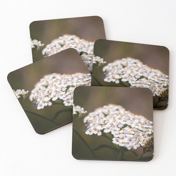 Item preview, Close-up of yarrow flowers designed and sold by jillianbutolphphoto.