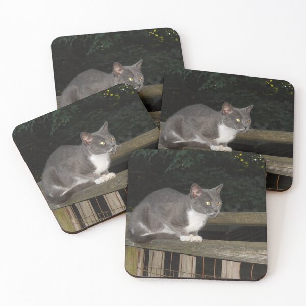 Item preview, Gray and White Cat designed and sold by Illustrationsbyv .