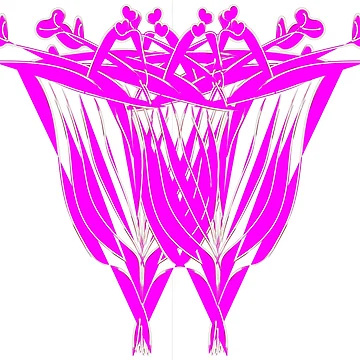 Artwork thumbnail, Two Roses by Dream Wear