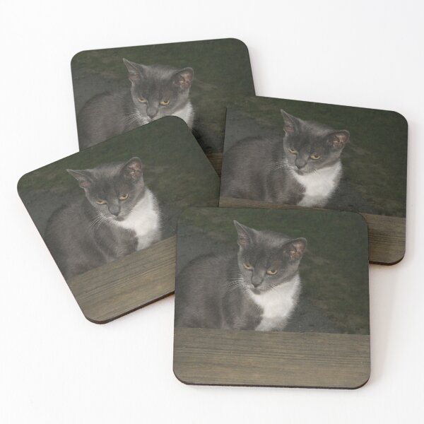 Item preview, Gray and White Cat designed and sold by Illustrationsbyv .