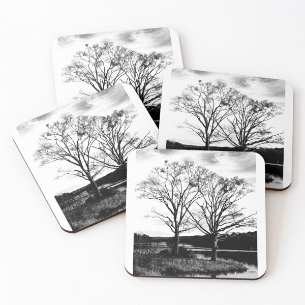 Item preview, Twin trees by the water designed and sold by Plein Air Photography .
