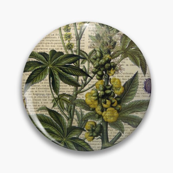 Item preview, Botanical print, on old book page designed and sold by Art by Lilia.
