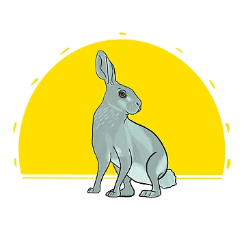 Artwork thumbnail, Sunset Hare by DrawingBasic