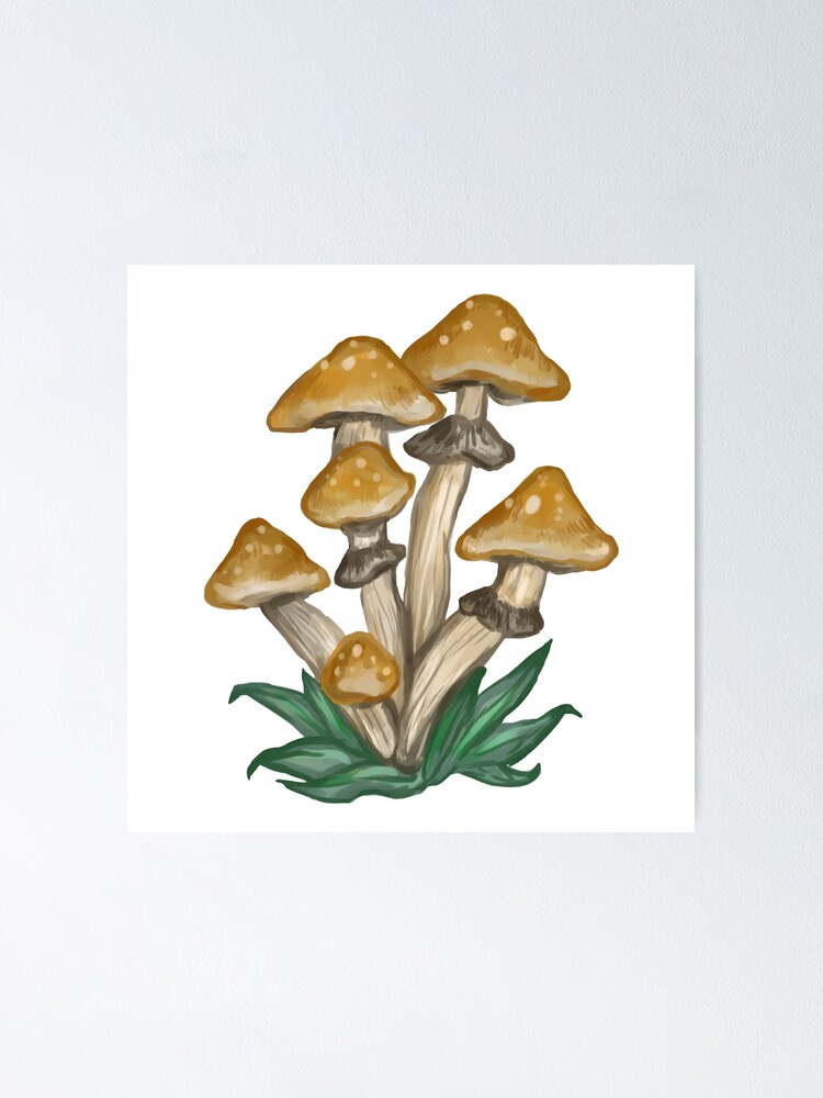 Custom Mushroom Teacher Book Stamp