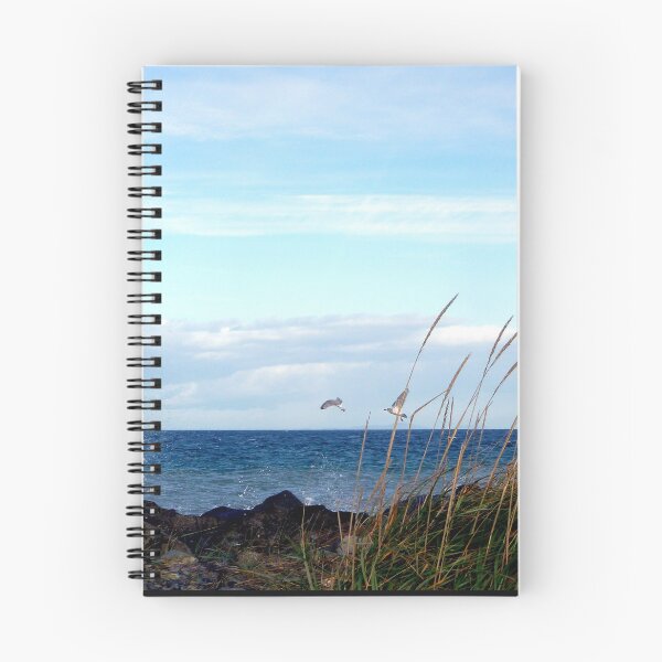 Item preview, November Winds Across The Hook designed and sold by Elaine Bawden.