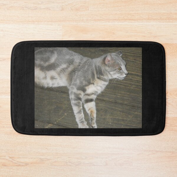 Item preview, Gray Cat designed and sold by Illustrationsbyv .
