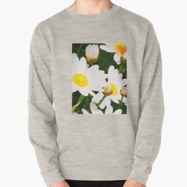 daisey daisey Pullover Sweatshirt