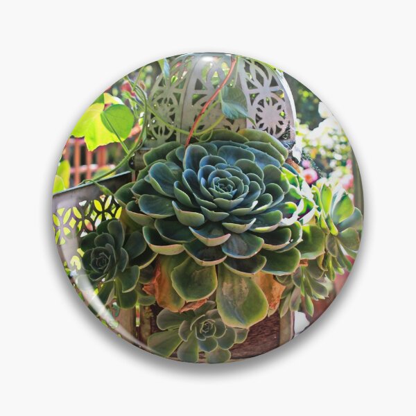 Item preview, Succulents in the Garden designed and sold by Martha Sherman.