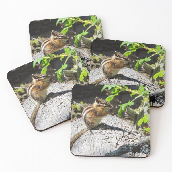 Item preview, Chipmunk snacktime designed and sold by DigitalGen.