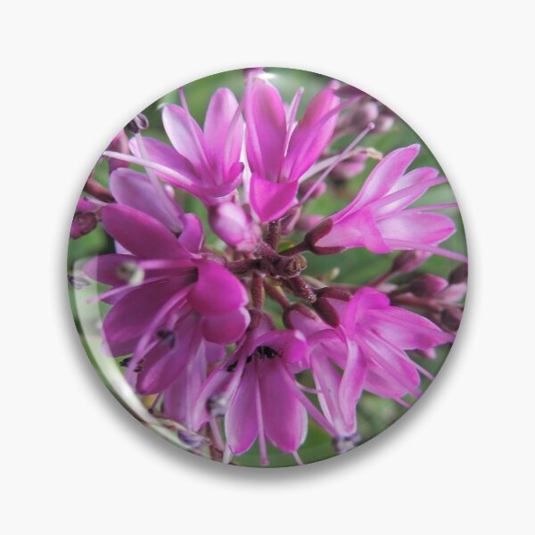 Item preview, Symmetry of Pink Flowers - Hebe "Great Orme" designed and sold by Marilyn Harris.