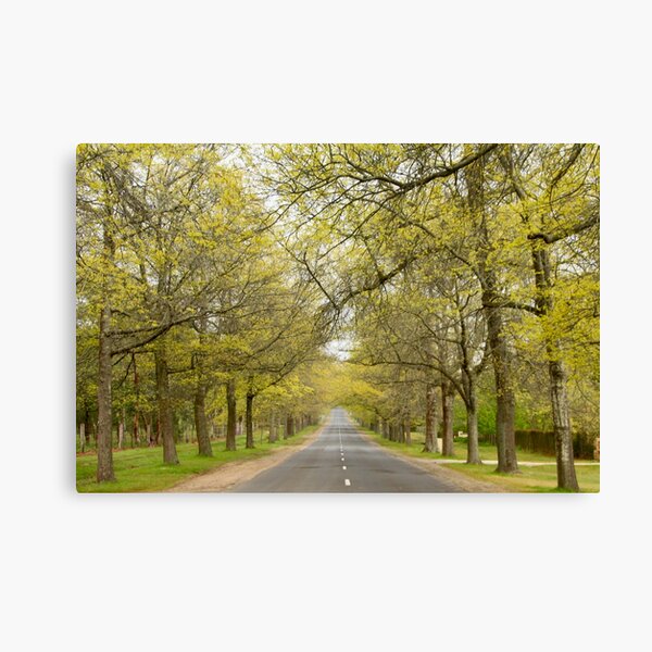 Item preview, Spring on Honour Ave designed and sold by Susan Henry.