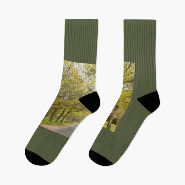 Item preview, Spring on Honour Ave designed and sold by Susan Henry.