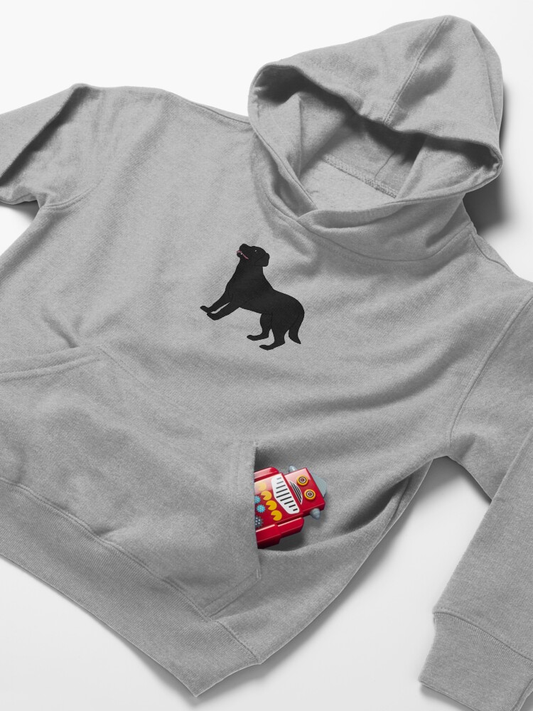 Alternate view of Black Lab Kids Pullover Hoodie