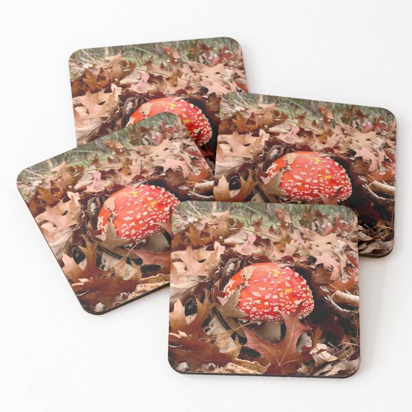 Item preview, Fly agaric mushroom, Macedon, Vic designed and sold by Susan Henry.