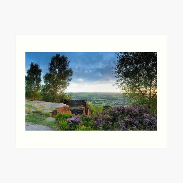 Art Print