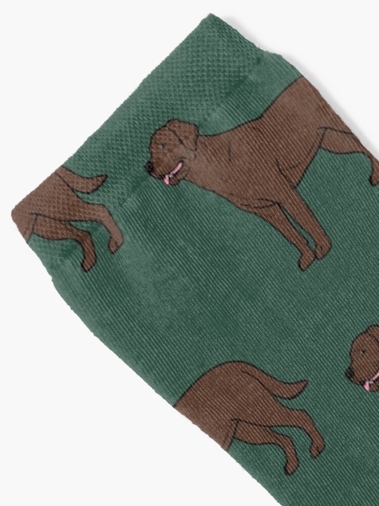 "Chocolate Lab " Socks by rmcbuckeye Redbubble