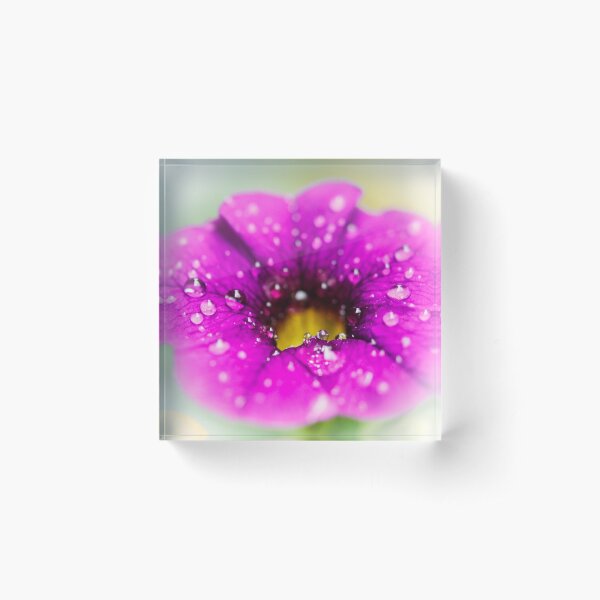 Item preview, Morning dew flower designed and sold by mel123456.